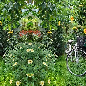 Homestay Star Garden, Hoi An